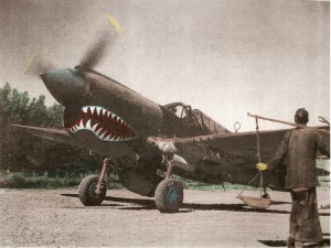 johnnie-petach_AVG-6